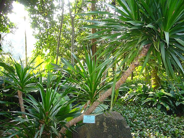家居装饰风水与颜色搭配的黄金法则