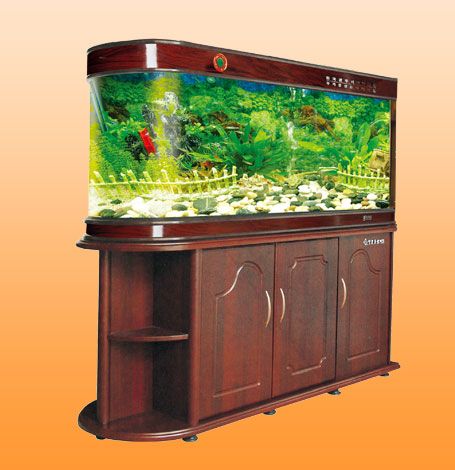 摆设风水鱼缸位置