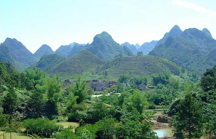 坟墓上长树好不好